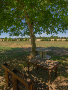 Le studio 6 227x300