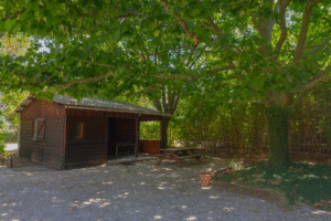 Le studio 7 300x200